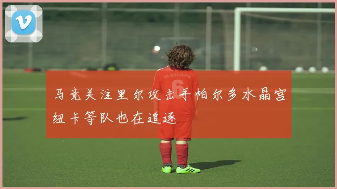 马竞关注里尔攻击手帕尔多水晶宫纽卡等队也在追逐