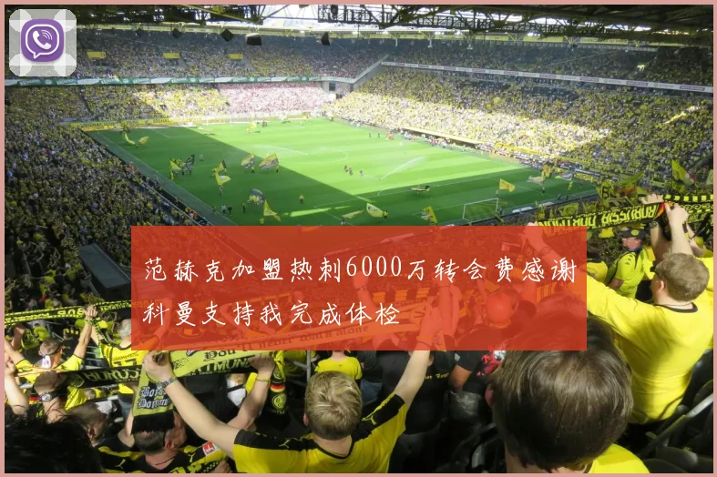范赫克加盟热刺6000万转会费感谢科曼支持我完成体检