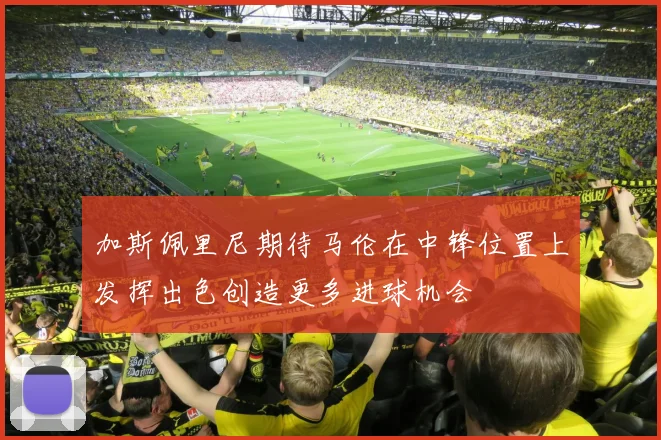 加斯佩里尼期待马伦在中锋位置上发挥出色创造更多进球机会